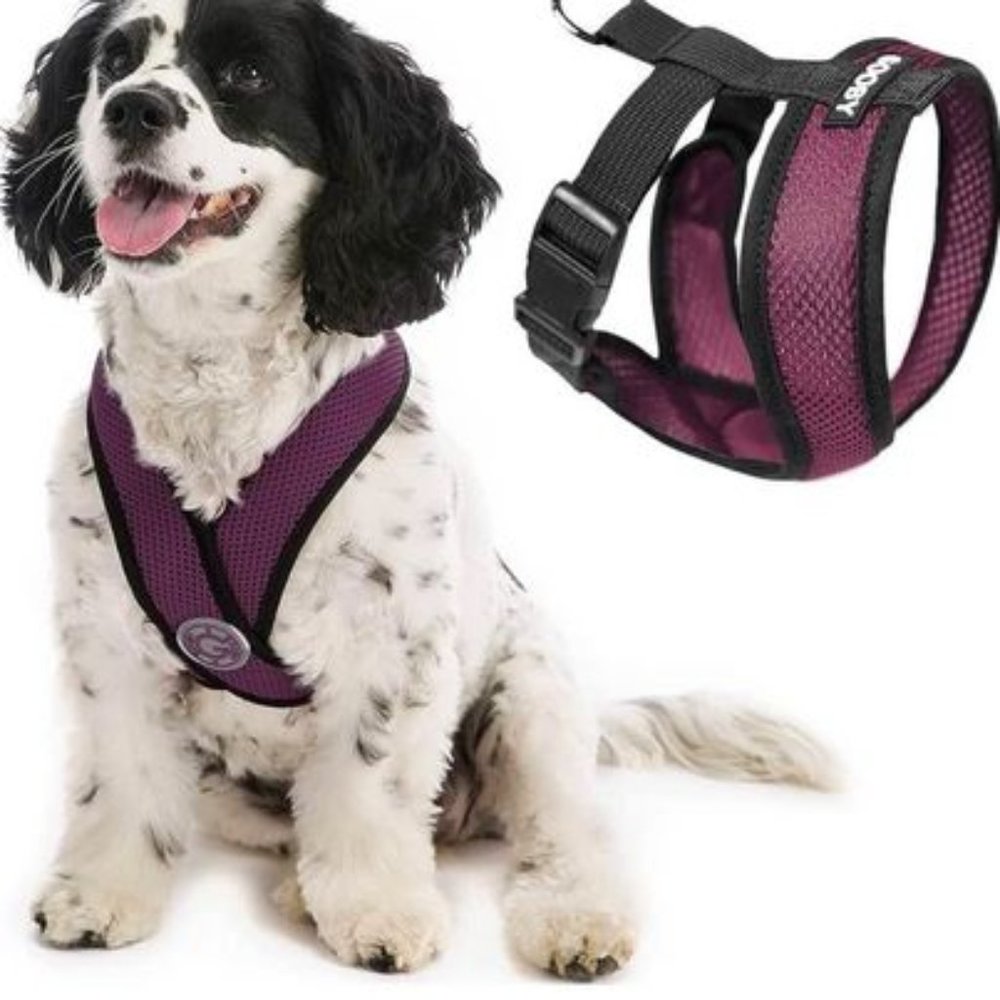 No pull purple dog harness, comfort dog harness